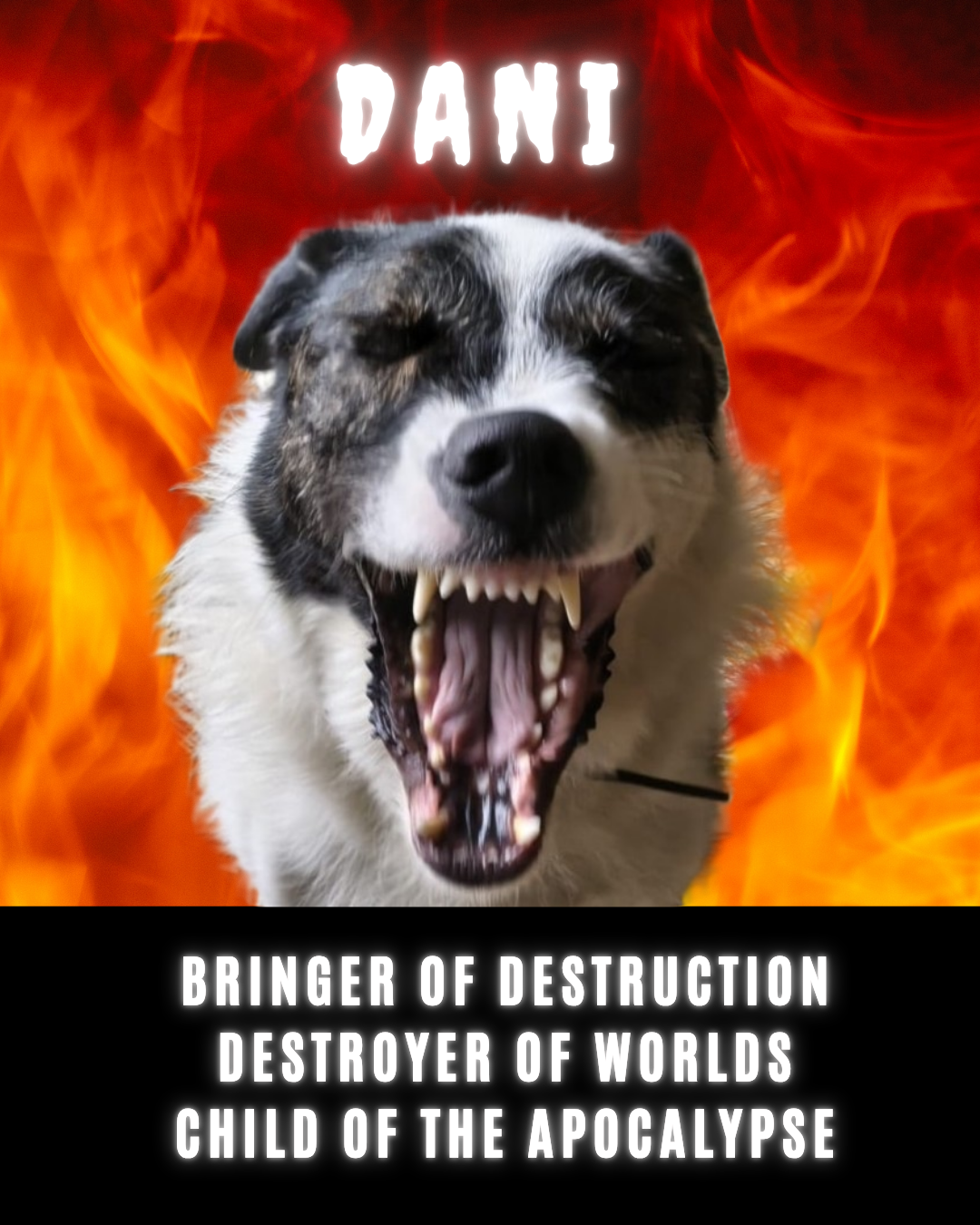 Dani Destruction.png